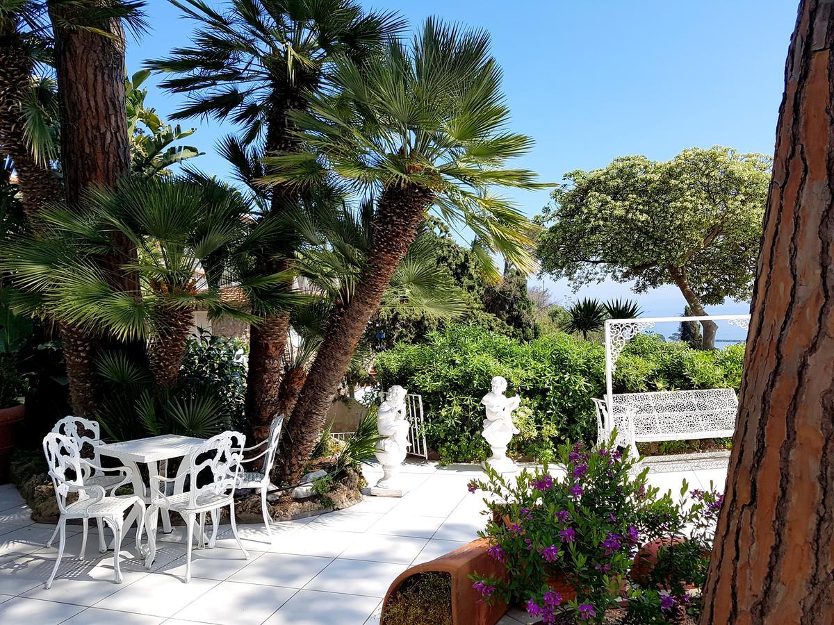 Dream Visions Ischia